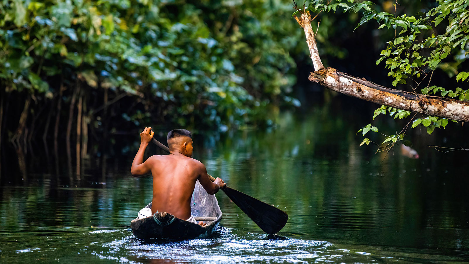 An Indigenous man paddling a canoe through a flooded Amazon forest